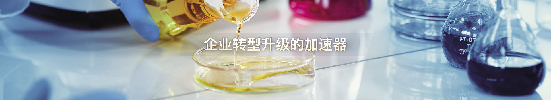 易优模板库